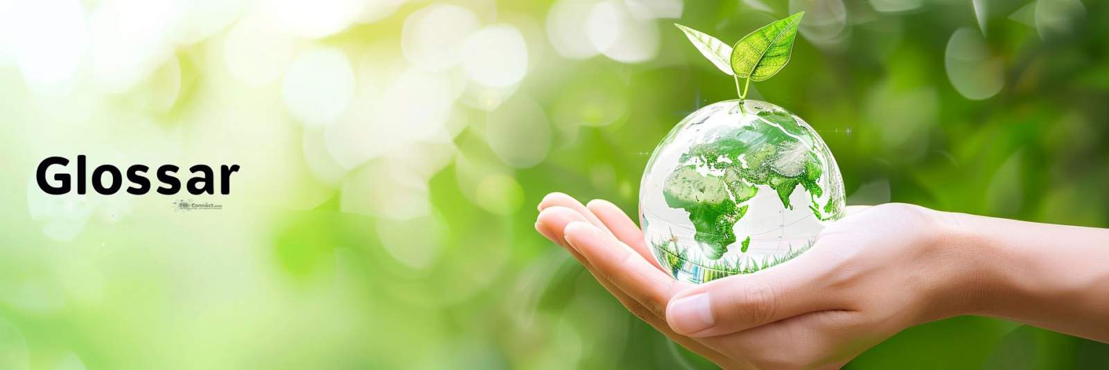 Begriffe und Definitionen im Energiemanagement